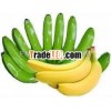 fresh Cavendish banana from Coasta Rica