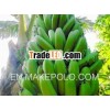 VN 2013 Good Banana