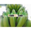 Quality A Bananas