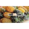 Pineapple, pineapple pulp
