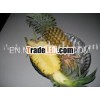 FRESH PINE APPLE FROM SRI LANKA