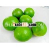 Fresh Lime,  Fresh Lemon: High Quality