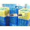 VIETNAM FRESH LEMON