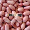 Java & Bold Blanched Peanuts (indian peanuts)