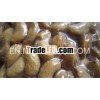 VIETNAM ROASTED CASHEW NUT