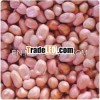 Pink Skin Peanut Kernel
