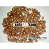 peanut kernel