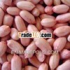 Groundnut New crop