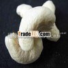Healthy cashew nut kernel