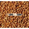 Various Grade Varieties in Groundnut Peanut Kernel