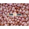 round peanut kernel 40/50