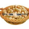 Large Type Peanut kernel