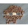 Java Peanut Count 100/120
