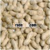 Groundnut Production Country