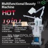 2013 Newest 19 in 1 Multi-functional facial beauty skin rejuvenation instrument