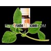Basil Essentail Pain relief Stress relief oil