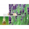 relaxing lavender massage oil 10