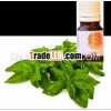 Basil Essential Oil in 10ml bottle