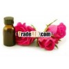 Excellent Quality Rose Oil