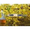 Forsythia Oil