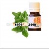 Flower of Life Basil Essential Oil