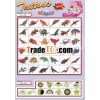 Temporay Tattoo stickers