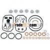 VE Pump Repair Kit