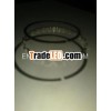 rings 8