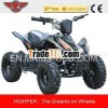 2013 NEW 350W,  500W,  800W Mini Elecctric ATV for Kids (ATV-6E)