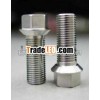 Gr5 titanium wheel bolt motor