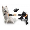 Photo and Video Pet Camera with Interal Battery and Micro SD Card Slot
