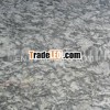 Sea Wave granite G423 Spray white Granite