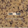 Chrysanthemum Yellow Granite