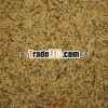 chinese GialloAnitco yellow granite tile and slab