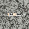 Chinese granite G439