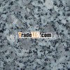 White Granite floor tile