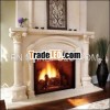 Bio ethanol fireplace