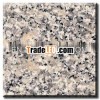 Best Selling Beautiful Bianco Sardo Granite Stone