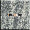 Kuppam green Slabs granite