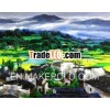 charming village scenery decorative wallpaper