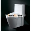 flush toilet