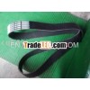 Cummings 12PK1700 belt **