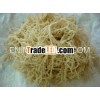 EUCHEUMA COTTONII SEAWEED