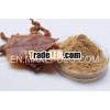 SQUID POWDER