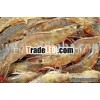 I can supply Fresh Shrimp From Vietnam