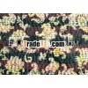 Tagai shawls India