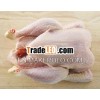 Frozen Whole Chicken