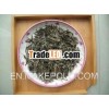 Great White Tea