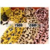 bowknot fashion polyester scarf