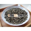 Blooming Jasmine Dragon Pearl, flower tea